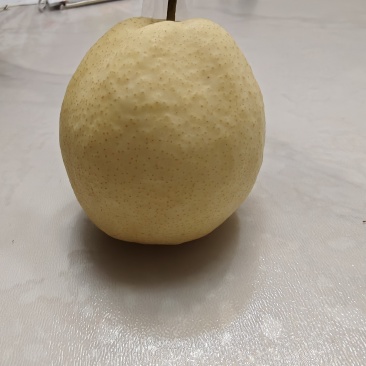 大荔酥梨