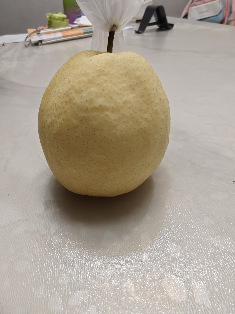 大荔酥梨