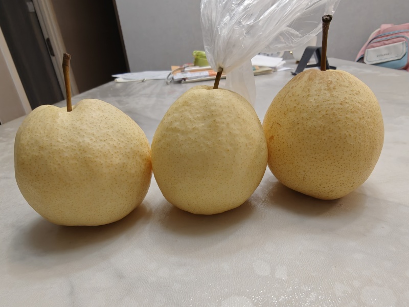 大荔酥梨
