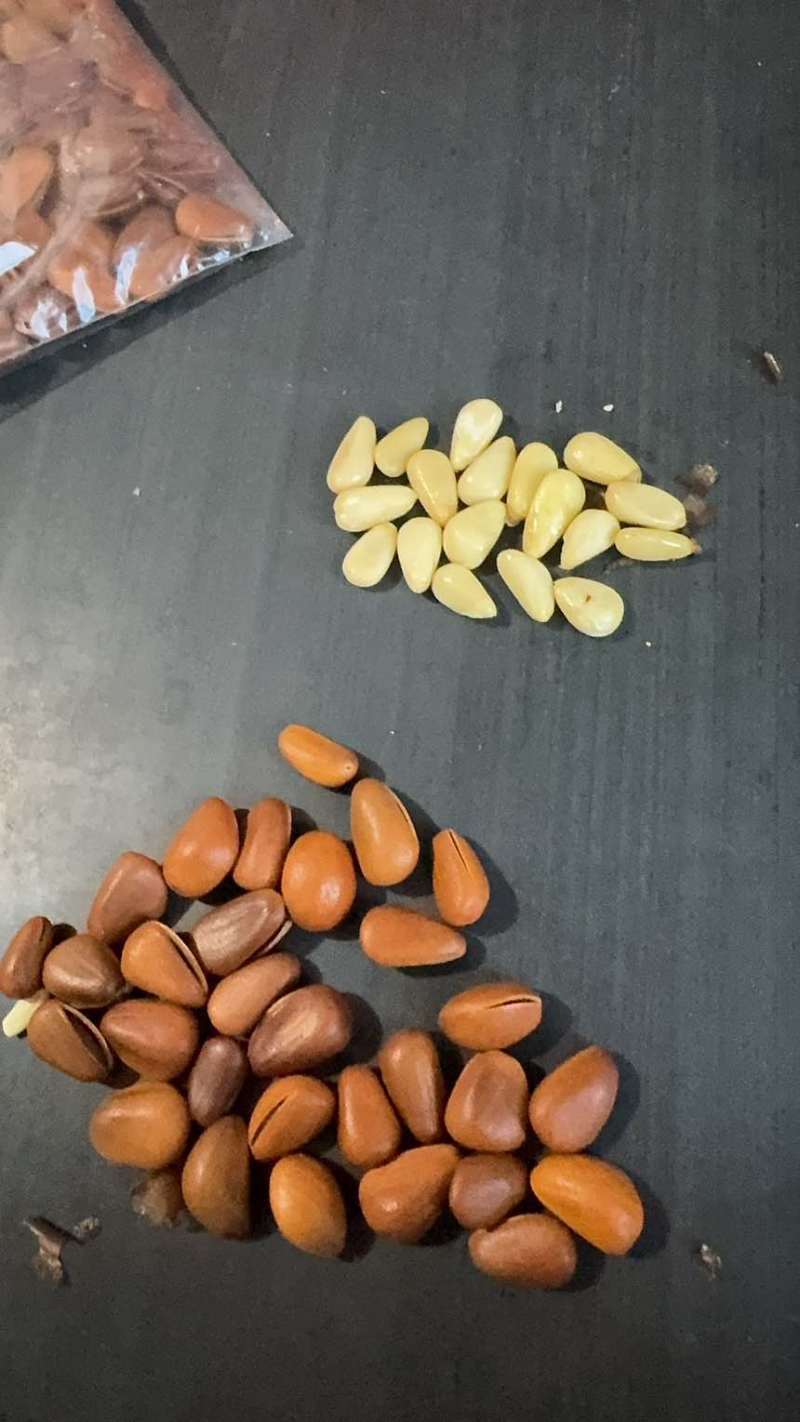 松子**电商货需要的联系我数量不多