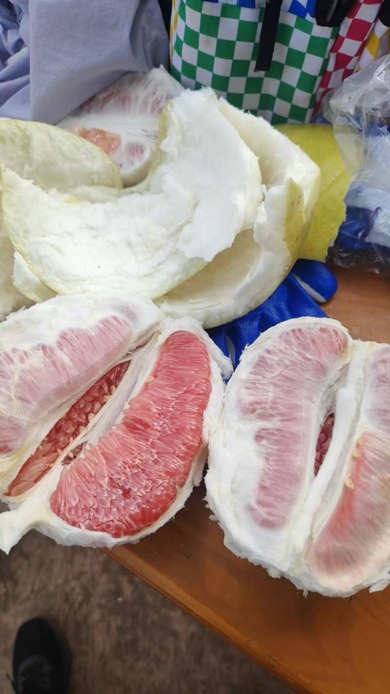 红心柚