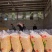碎玉米粒批发量大净粮无尘无土无霉变全国送货上门哦