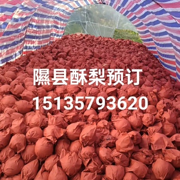我要卖，山西省临汾市隰（xi）县高塬上的酥梨，酥梨甜