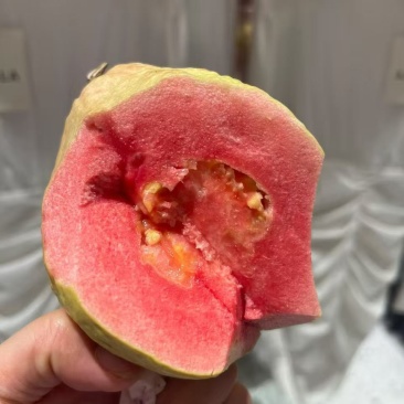 一键代发珍珠白西瓜红芭乐，价格*实惠，多年电商经验