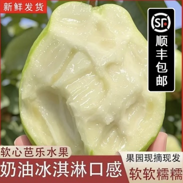 接各种珍珠白西瓜红芭乐一键带发，产地直发，多年电商经验
