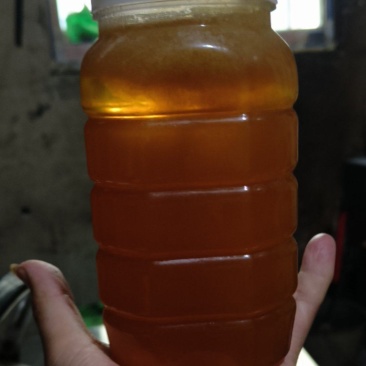土蜂蜜🍯