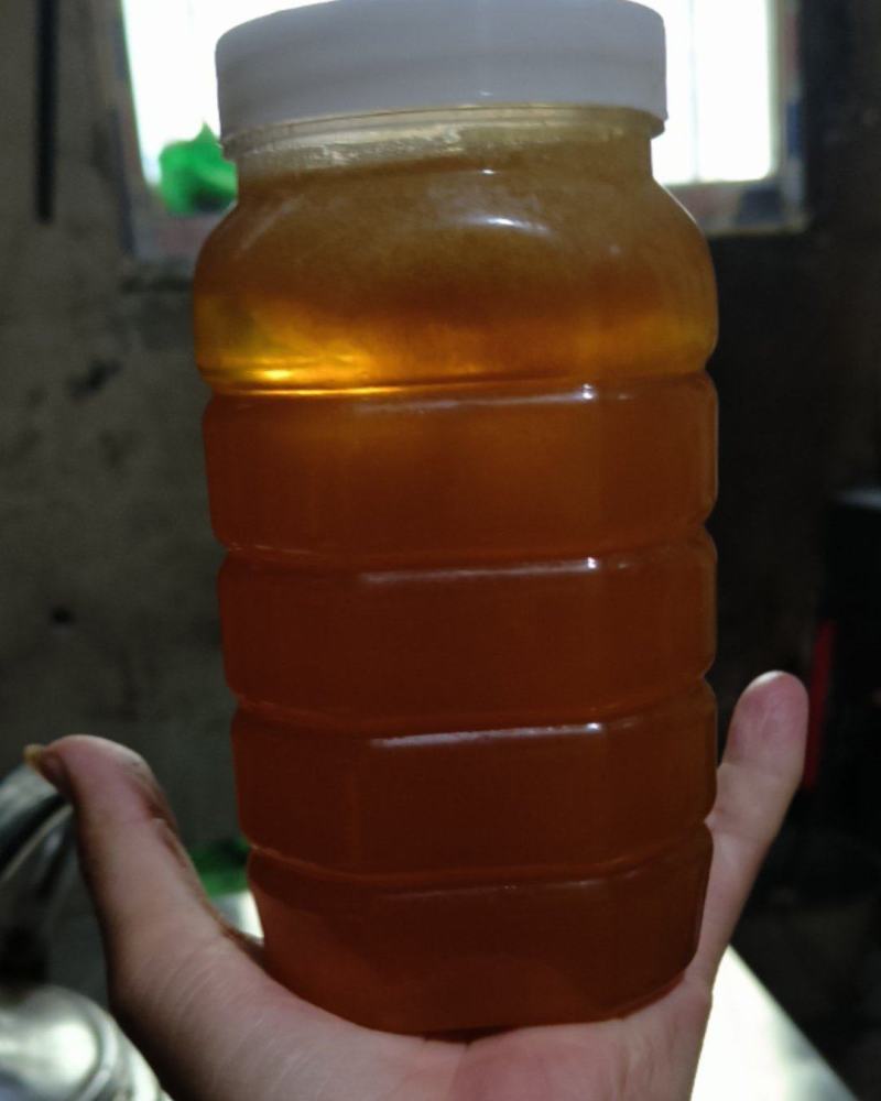 土蜂蜜🍯