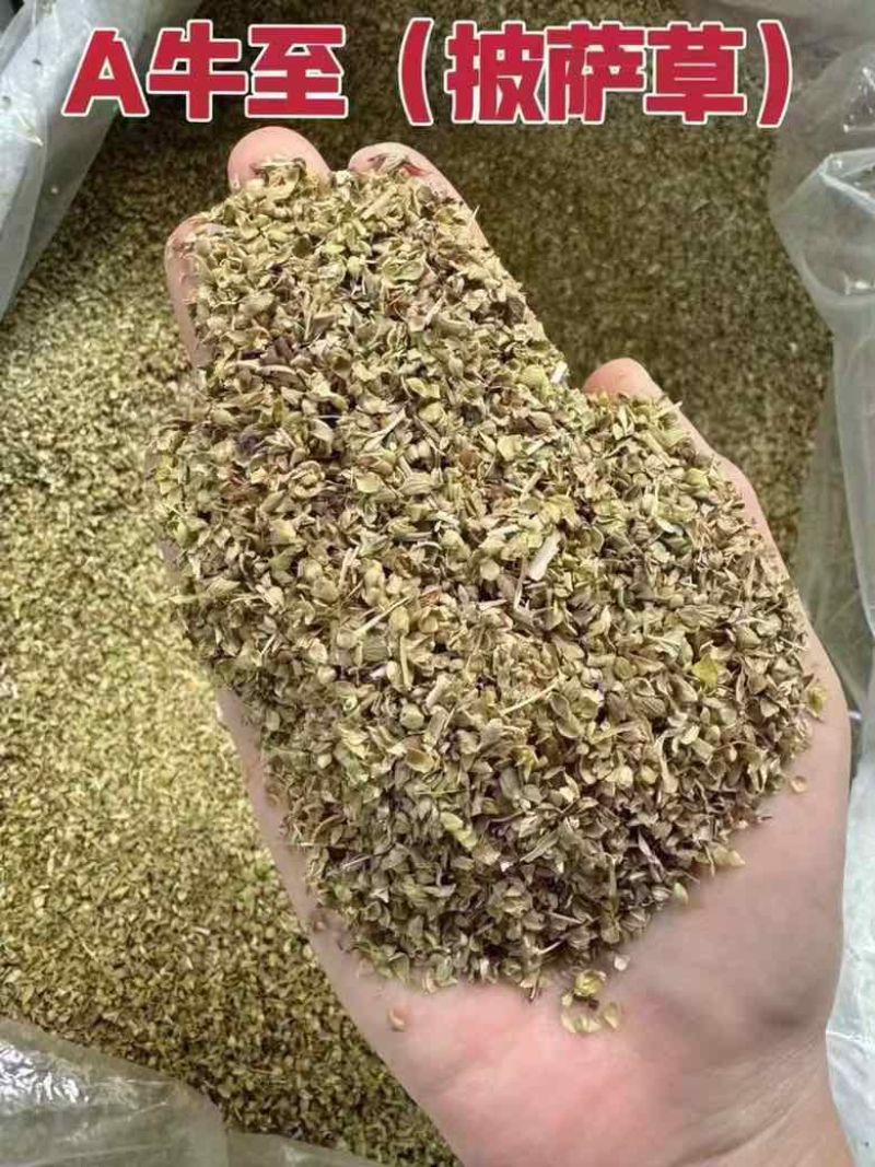 西餐厅调味料精品牛至披萨草欧芹罗勒迷迭香鼠尾草