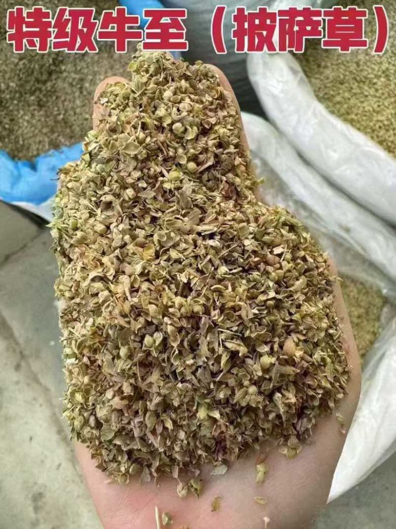 西餐厅调味料精品牛至披萨草欧芹罗勒迷迭香鼠尾草