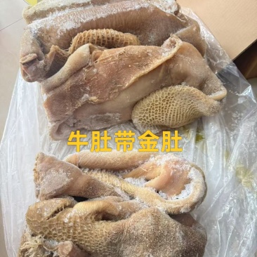 牛肚带金肚（出成九成）