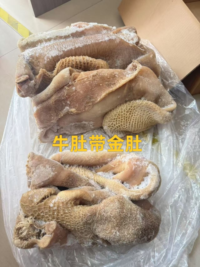 牛肚带金肚（出成九成）