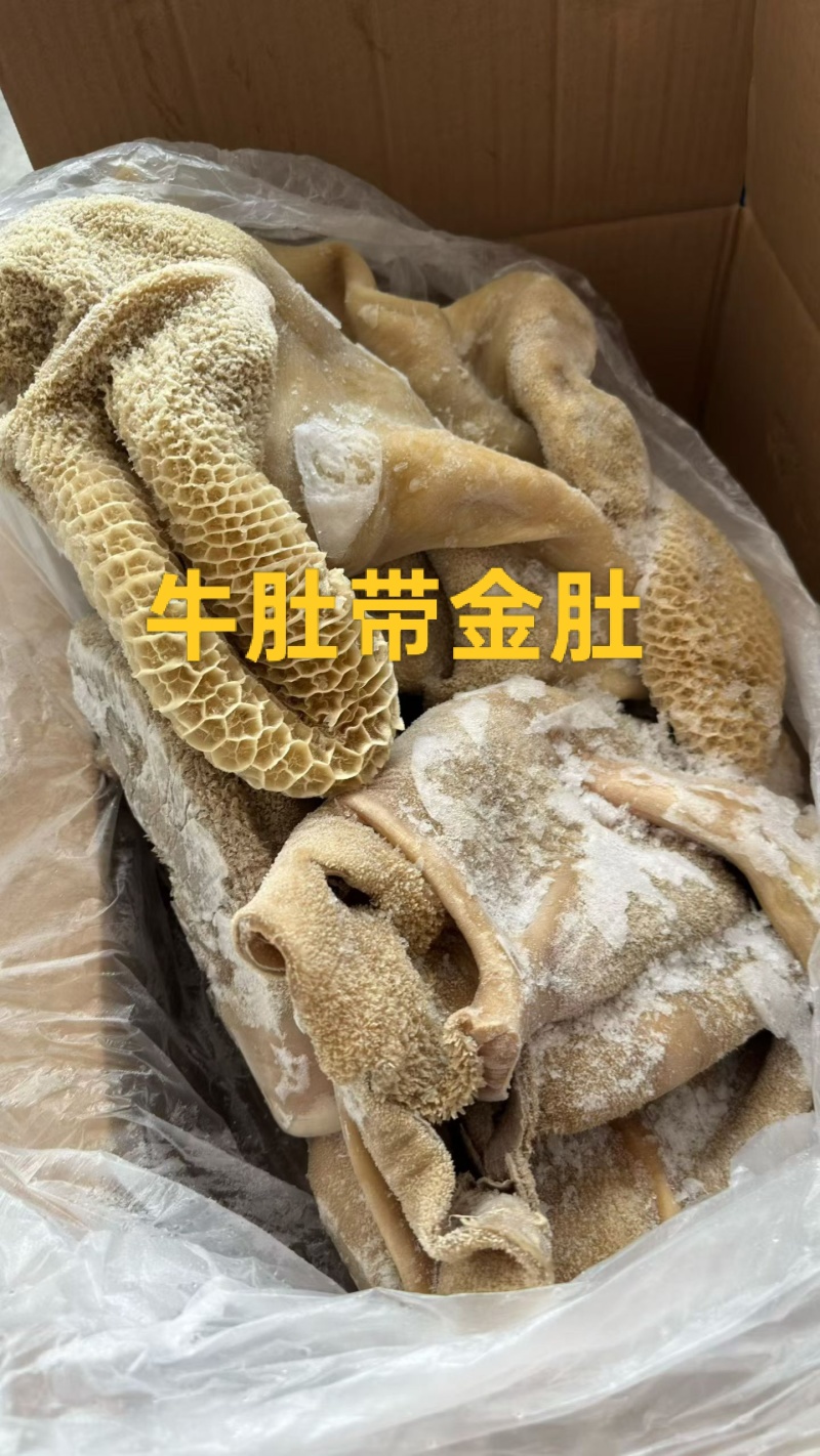 牛肚带金肚（出成九成）