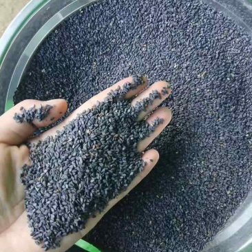 缅甸黑芝麻