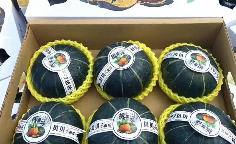 精品贝贝南瓜，产地直发，货源充足，全国发货！