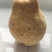 山农酥梨