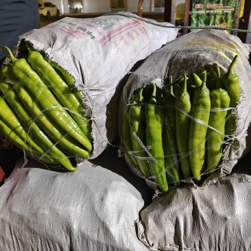 精品尖椒
