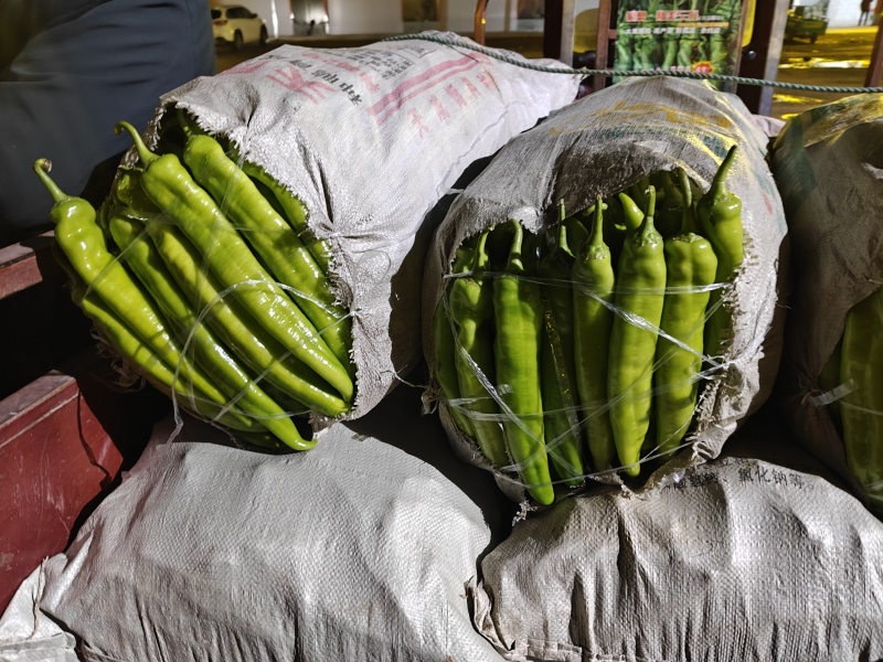 精品尖椒