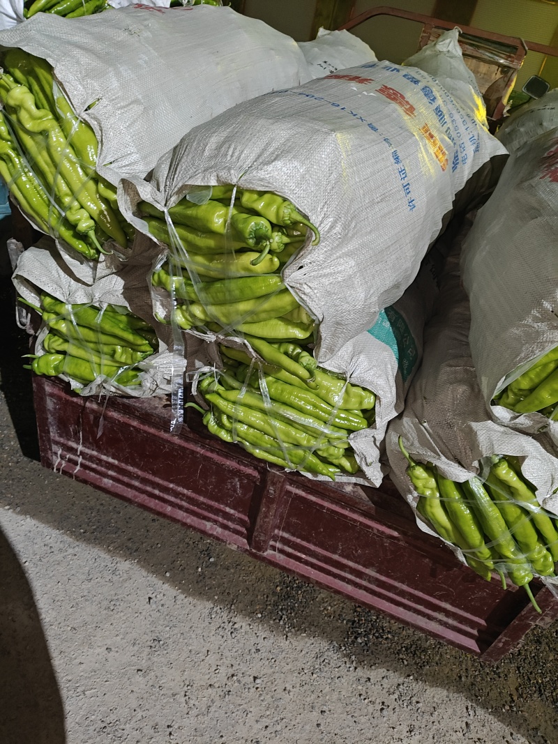 精品尖椒