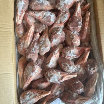 带舌鹅头纯干10吨