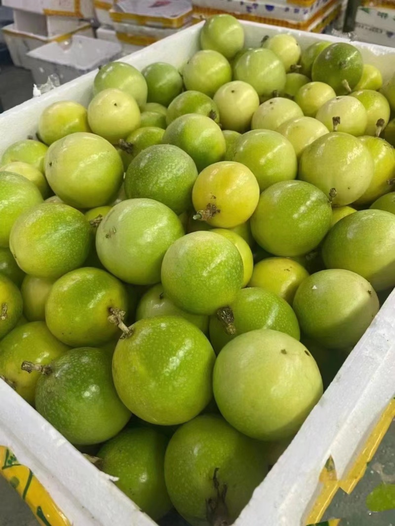 批发钦蜜9号百香果