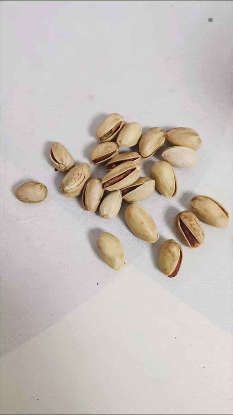 开心果电商一件代发，批量走货，有量有价