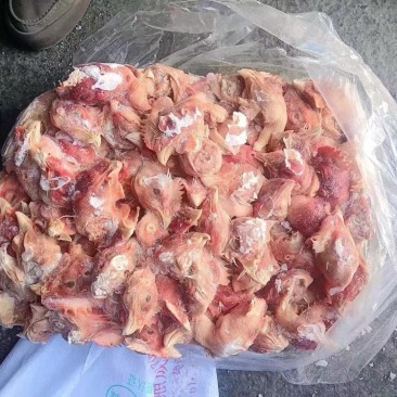 饲料鸡头现货
