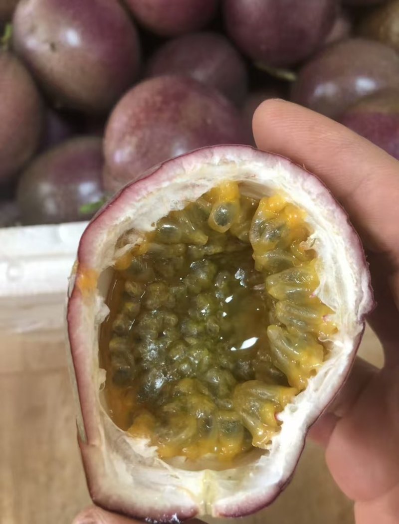 金都3号百香果批发