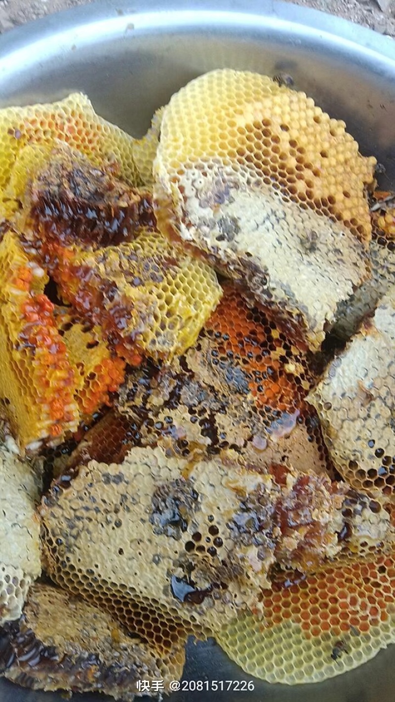 深山土蜂蜜！百花蜜！***绿色食品！
