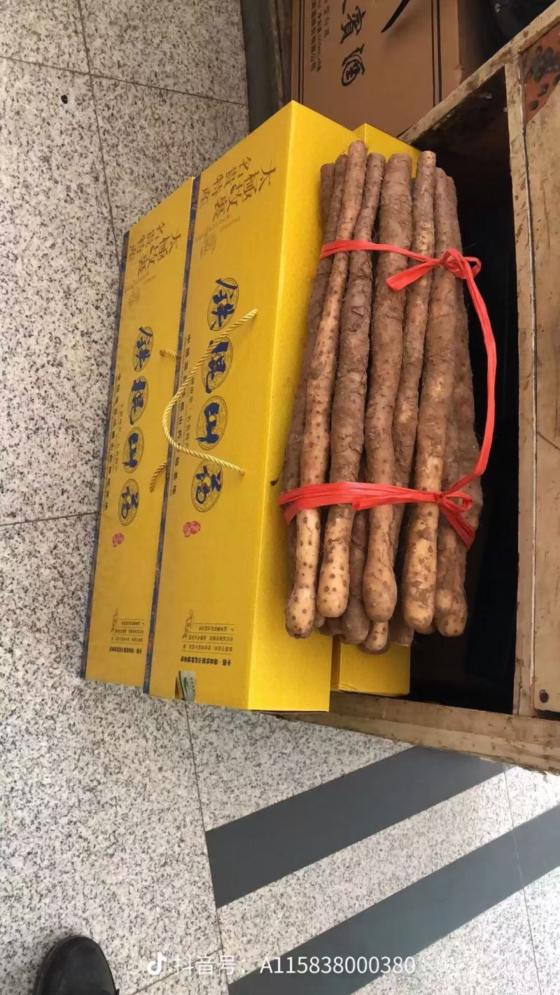 河南温县垆土地铁棍山药十年种植技术后感质量棒