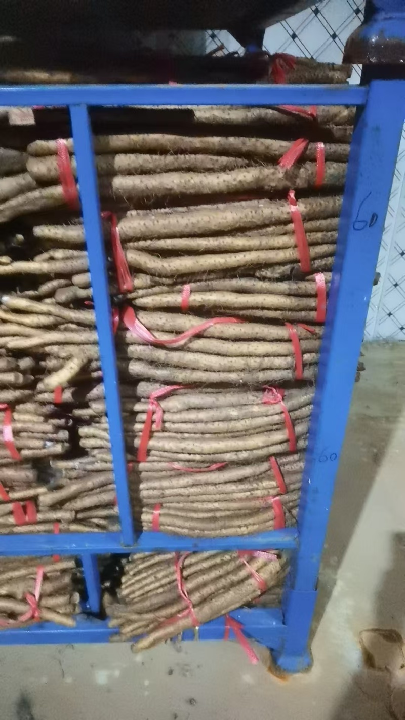 河南温县垆土地铁棍山药十年种植技术后感质量棒