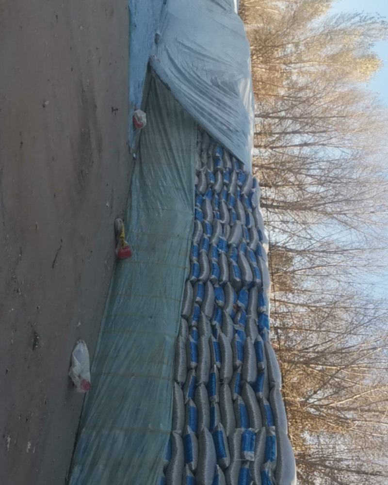 葵花籽12000-18000一吨赤峰瓜子