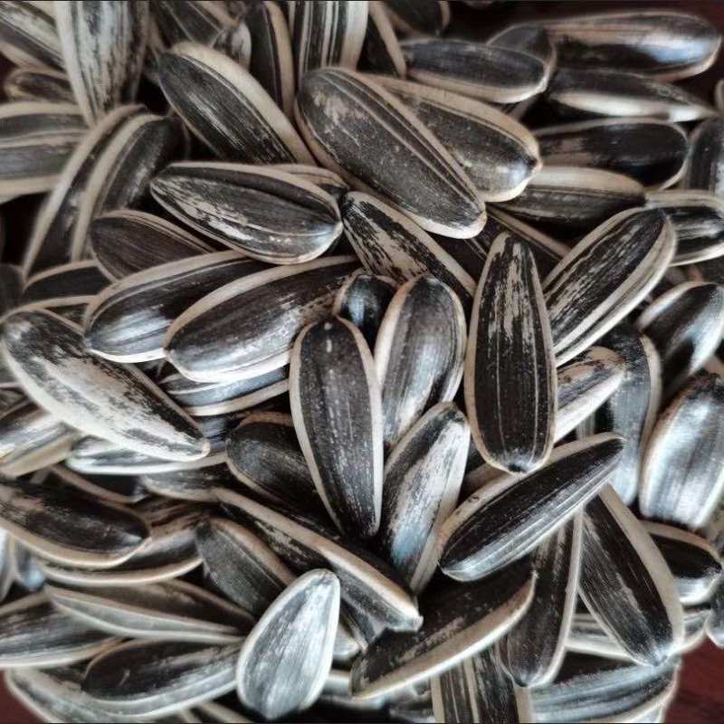 葵瓜子，原味干炒瓜子电商用货，支持批发代发