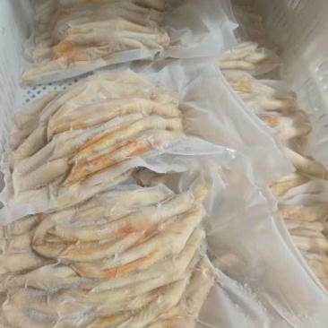出售填鸭掌2吨