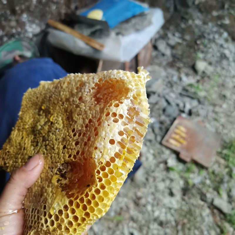 深山土蜂蜜