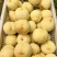 映霜红冬桃