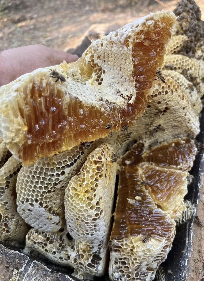 土蜂蜜