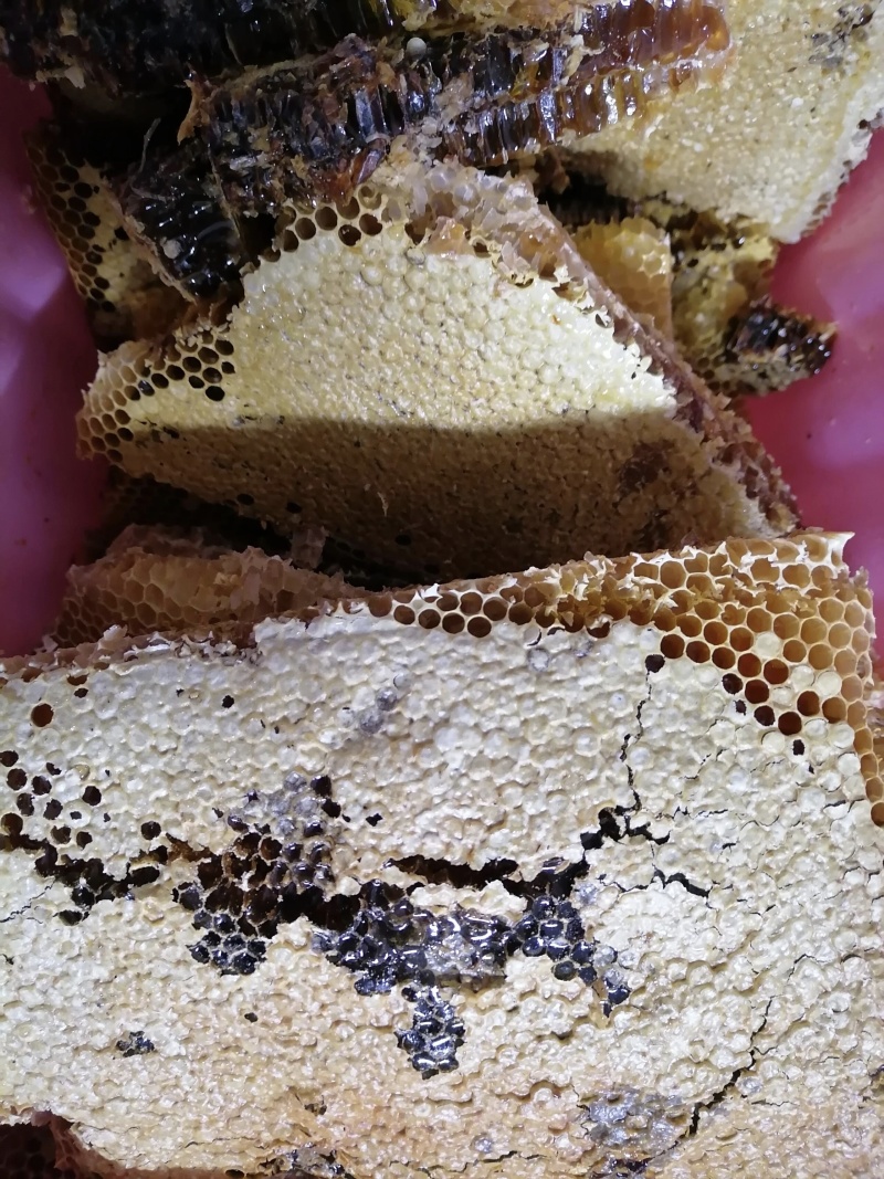 土蜂蜜