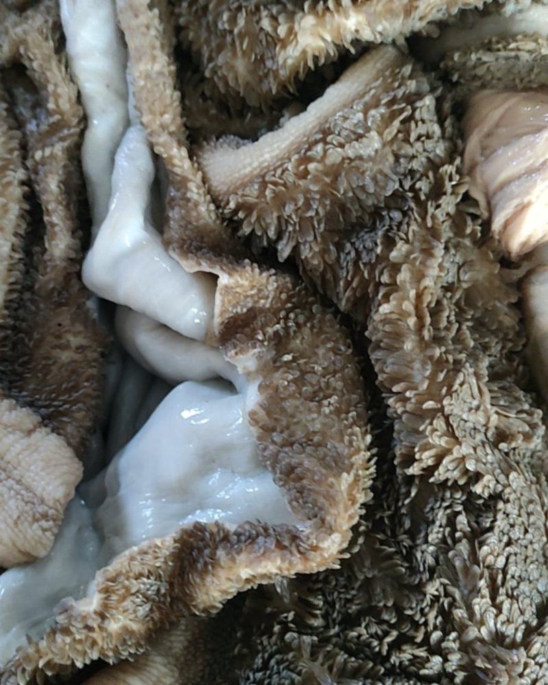 羊杂熟羊杂八成熟各种配比