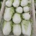 白菜