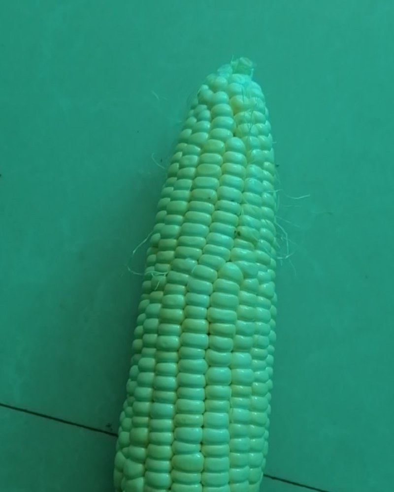 鲜食玉米