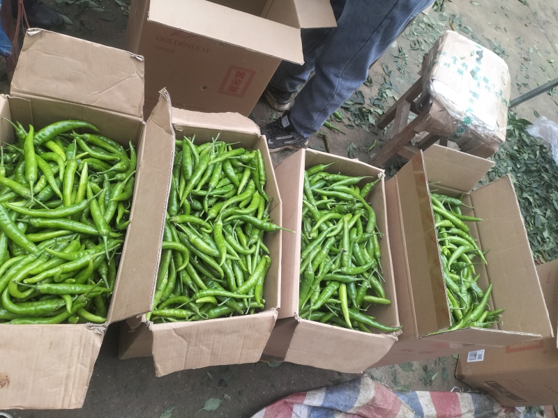质量决定一切，高山品质，海拔九百多米，进行中……