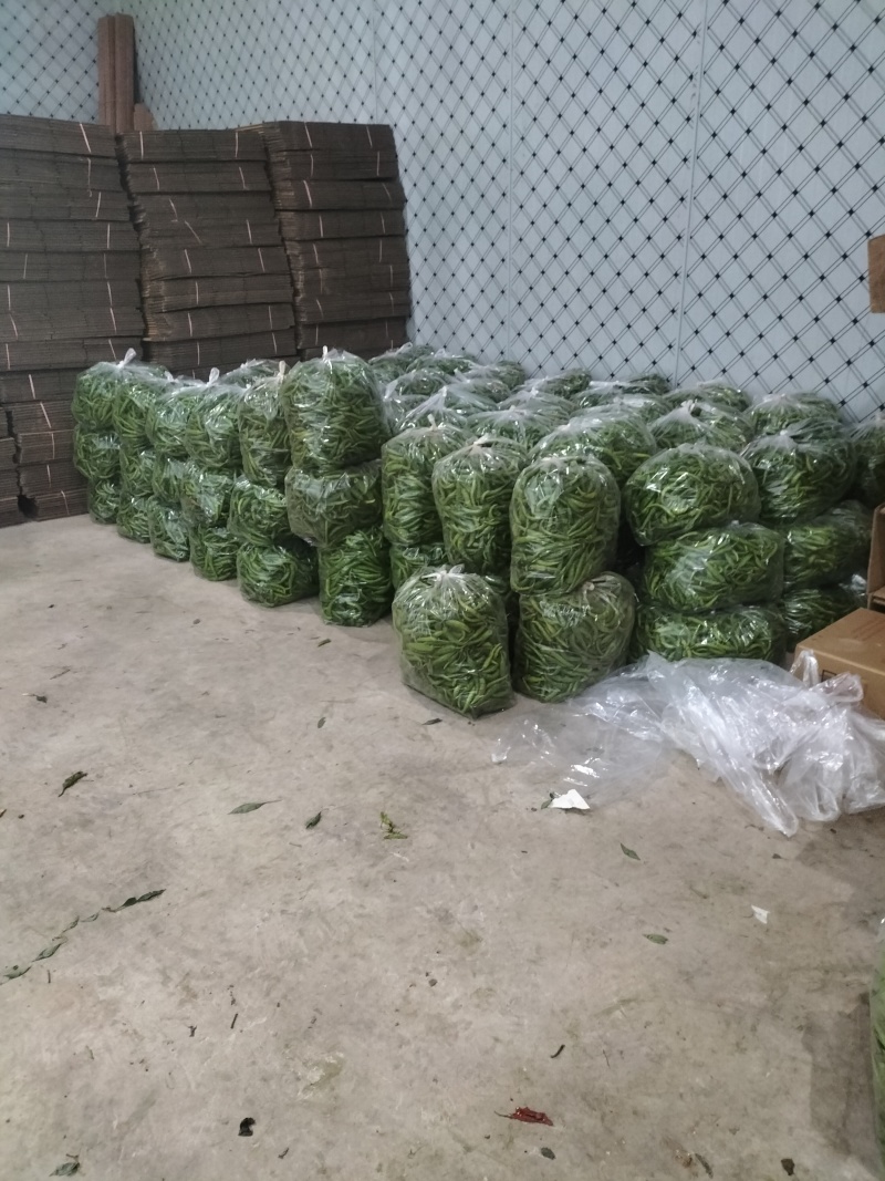 质量决定一切，高山品质，海拔九百多米，进行中……