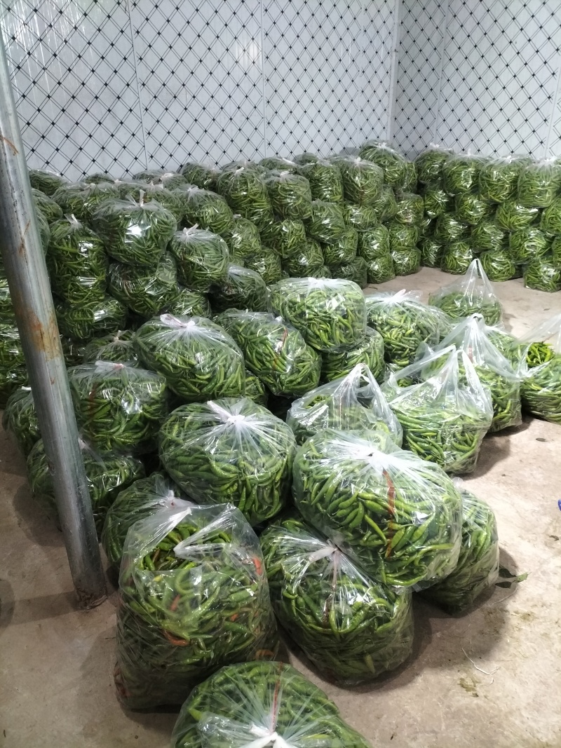 质量决定一切，高山品质，海拔九百多米，进行中……