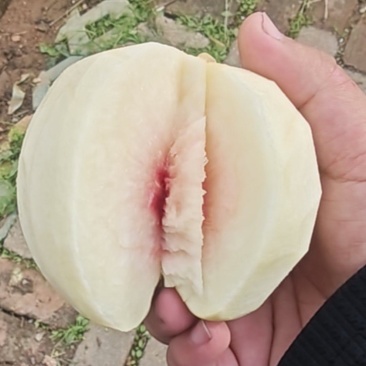 金秋红蜜桃子
