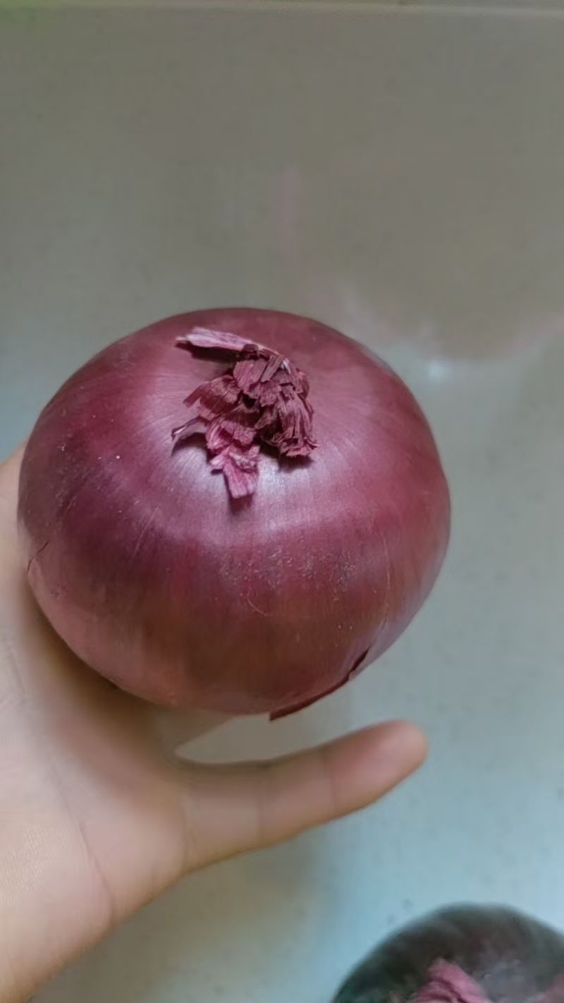 紫洋葱