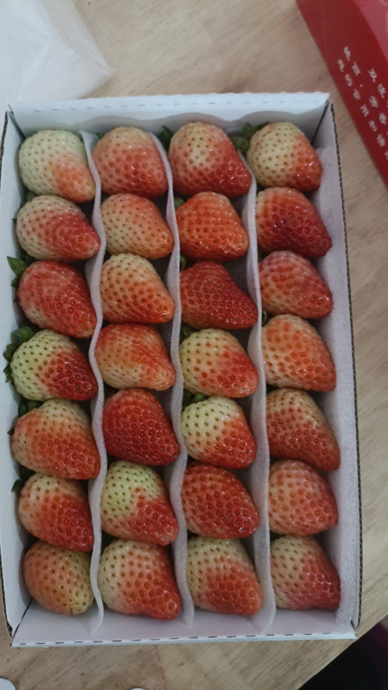 云南草莓
