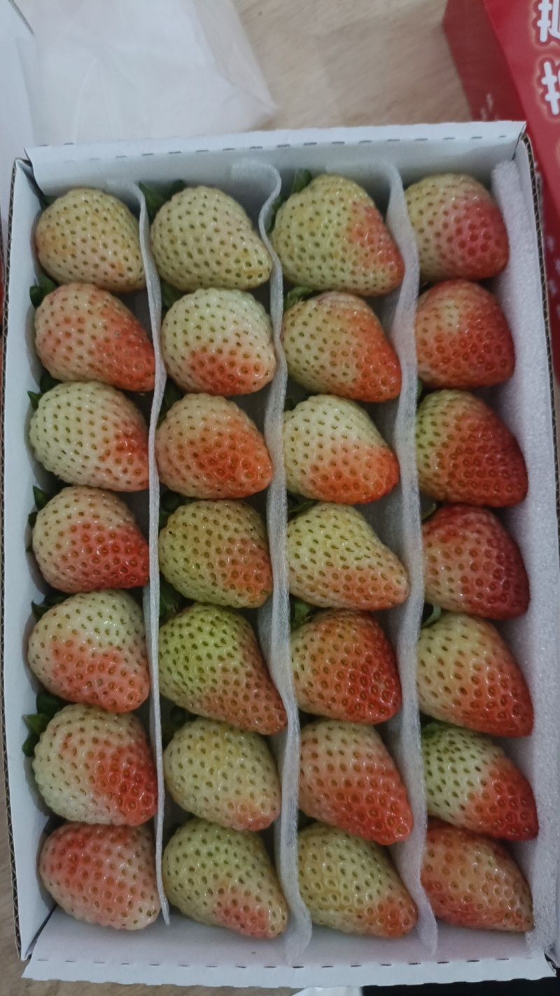 云南草莓