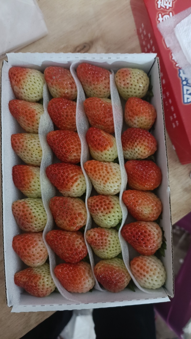 云南草莓