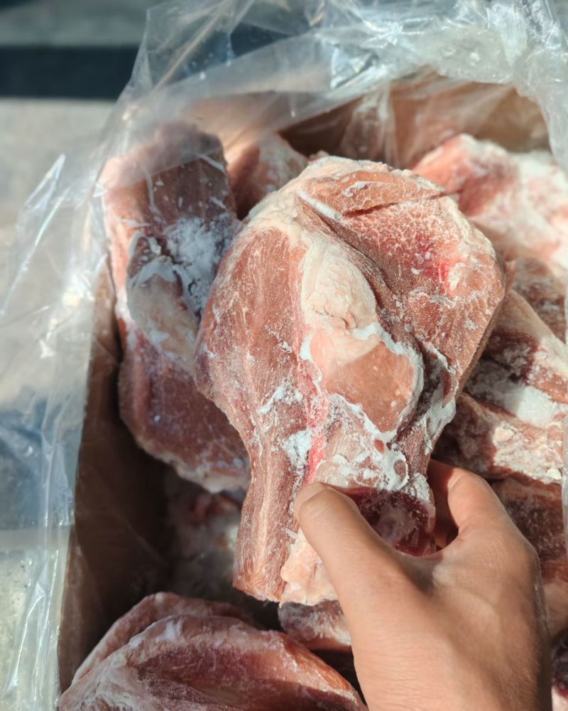肥猪多肉扇子骨