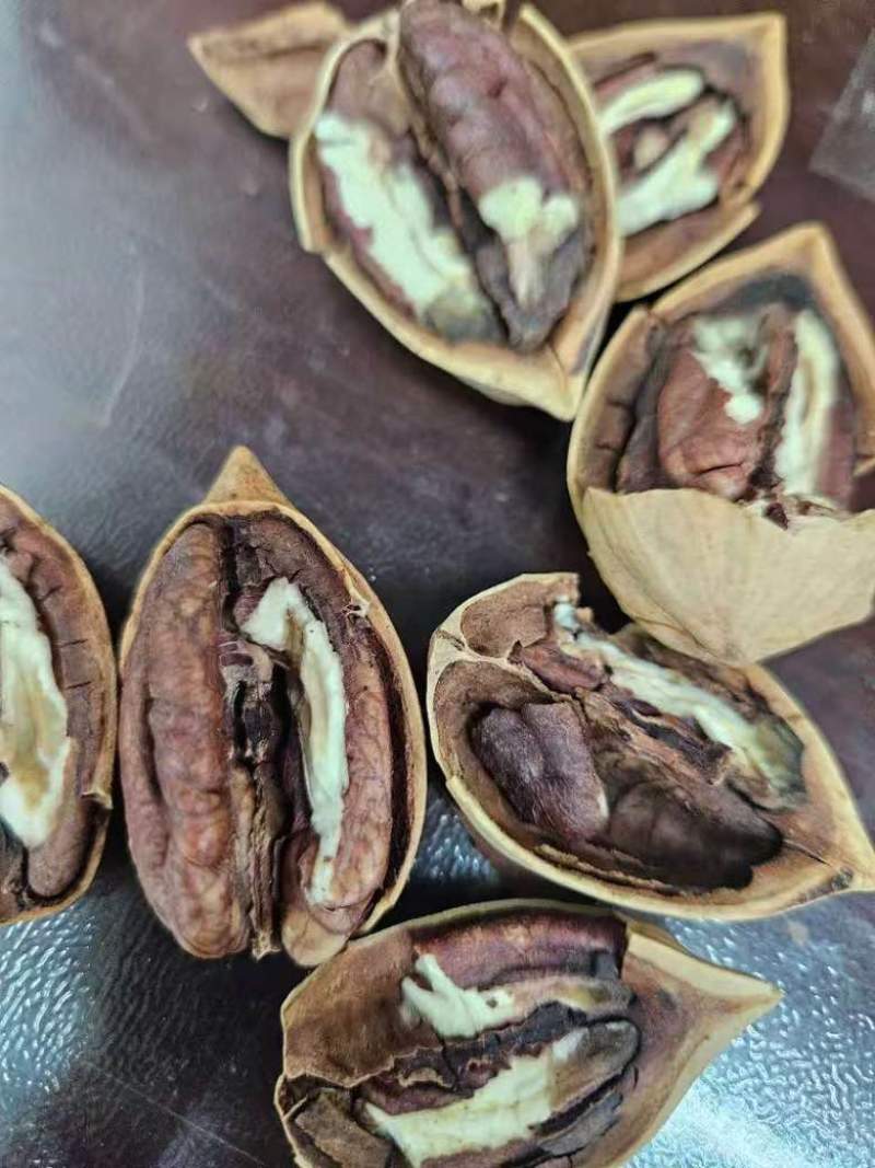碧根果大货批发电商一件代发